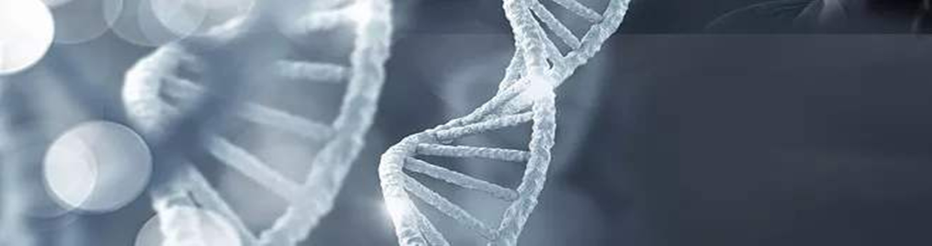 深圳东维图：科研院校行