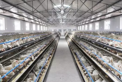 深圳东维图：养殖行业气体检测解决方案