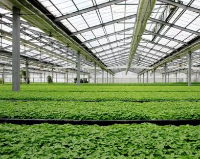 深圳东维图：养殖行业气体检测解决方案